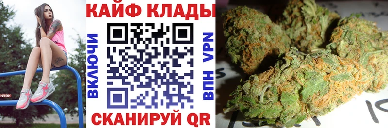 Купить закладку Галлюциногенные грибы  Мефедрон  ГАШ  Alpha-PVP  Ельня