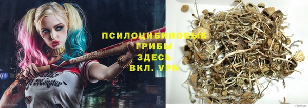 эйфоретик Заводоуковск